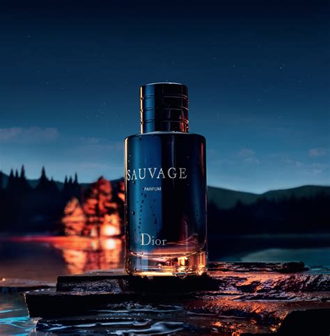 sauvage dior parfum san marino|sauvage dior fragrantica.